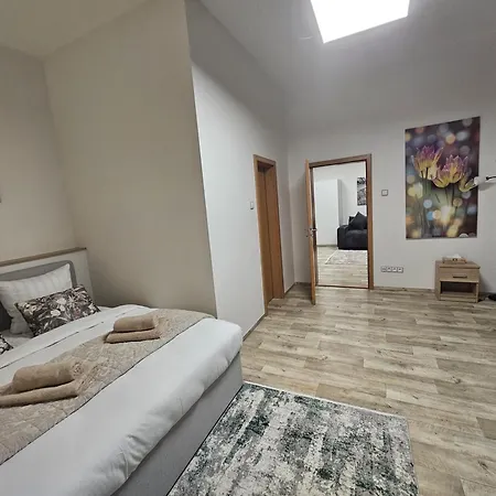 Kompletne Vybaveny S Loznici V Centru U Divadla #homevibes50 *