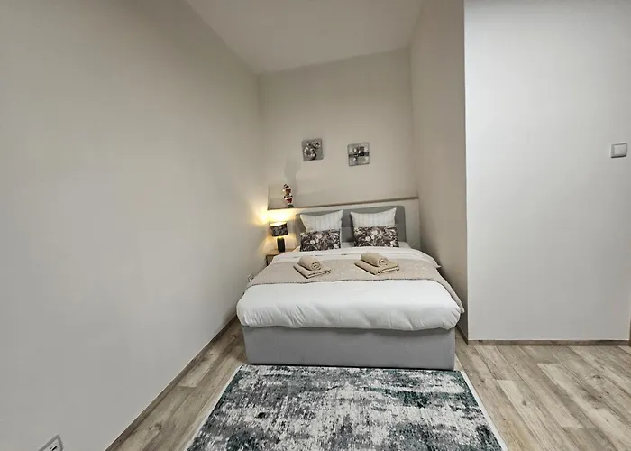 Kompletne Vybaveny S Loznici V Centru U Divadla #homevibes50 * 帕尔杜比采